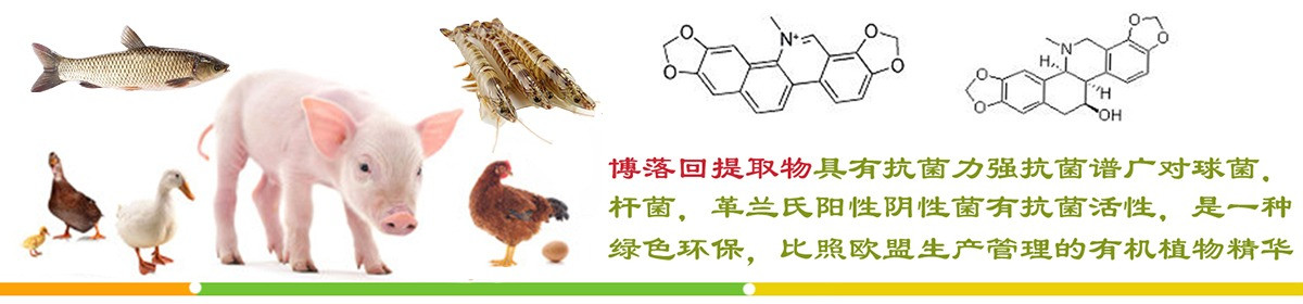 银河娱乐网页版老虎机 注册送金币