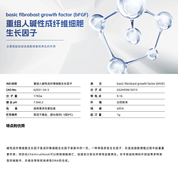 重组人碱性成纤维细胞生长因子