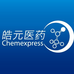 小分子及新分子类型药物业务的CRO & CDMO服务