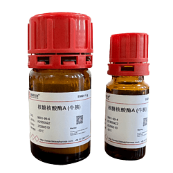 核糖核酸酶A Ribonuclease ≥100u/mg 无DNA酶 无蛋白酶 普瑞因生物