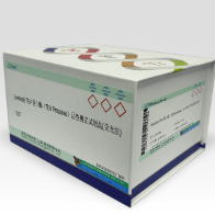 Seebio® TEV 蛋白酶（TEV Protease）活性测定试剂盒（荧光法）