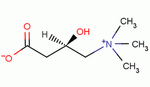 L-肉碱