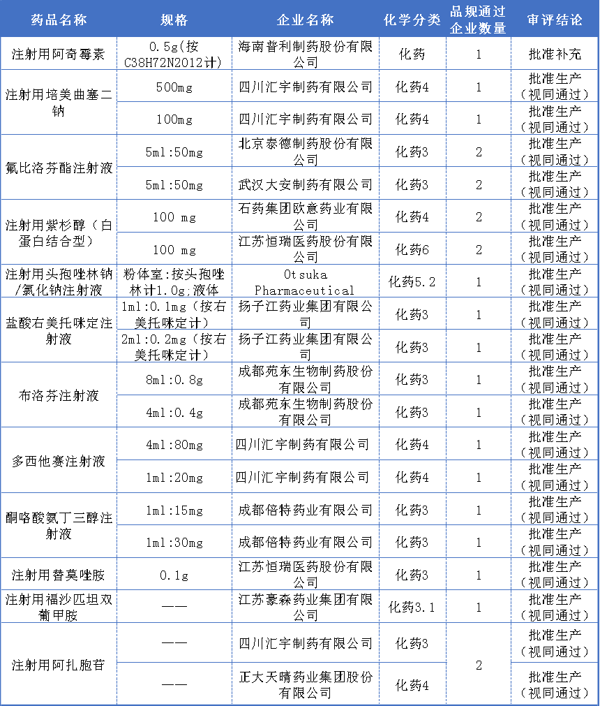 注射剂一致性评价过评详情