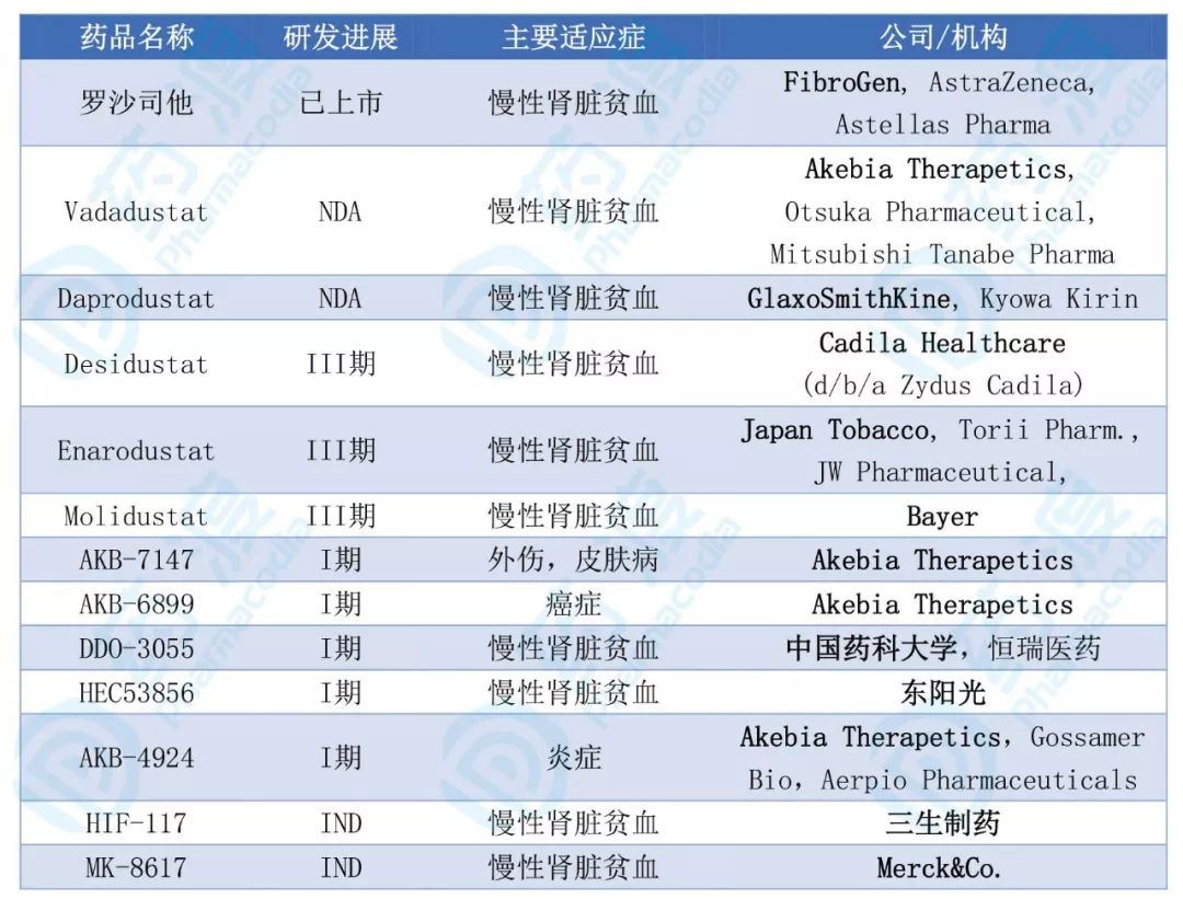 PHD2小分子抑制剂（排除无进展和终止药物